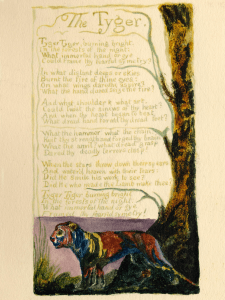 Songs of Experience - The Tyger