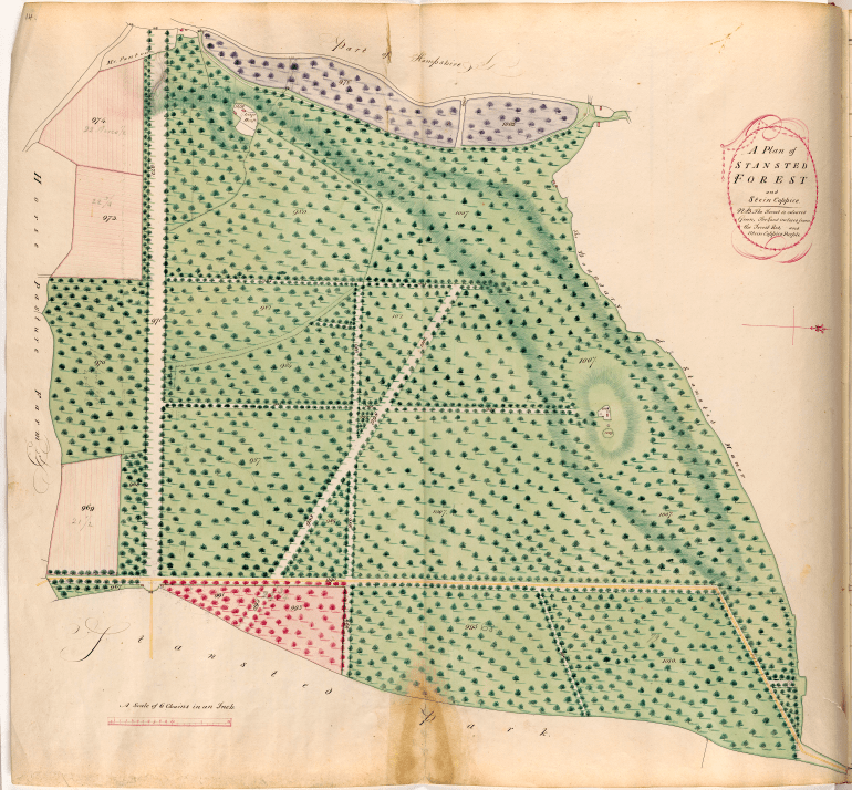 26-add-ms-2158-p14-stansted-forest