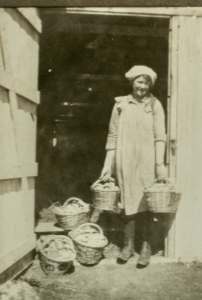 35-ph-14015-land-girl-at-a-g-lindfields-mushroom-growing-business