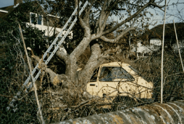 Acc 18899-2 Chichester