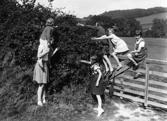 Garland N18719 - Evacuees picking blackberries at the Virgin Mary Spring, Petworth
