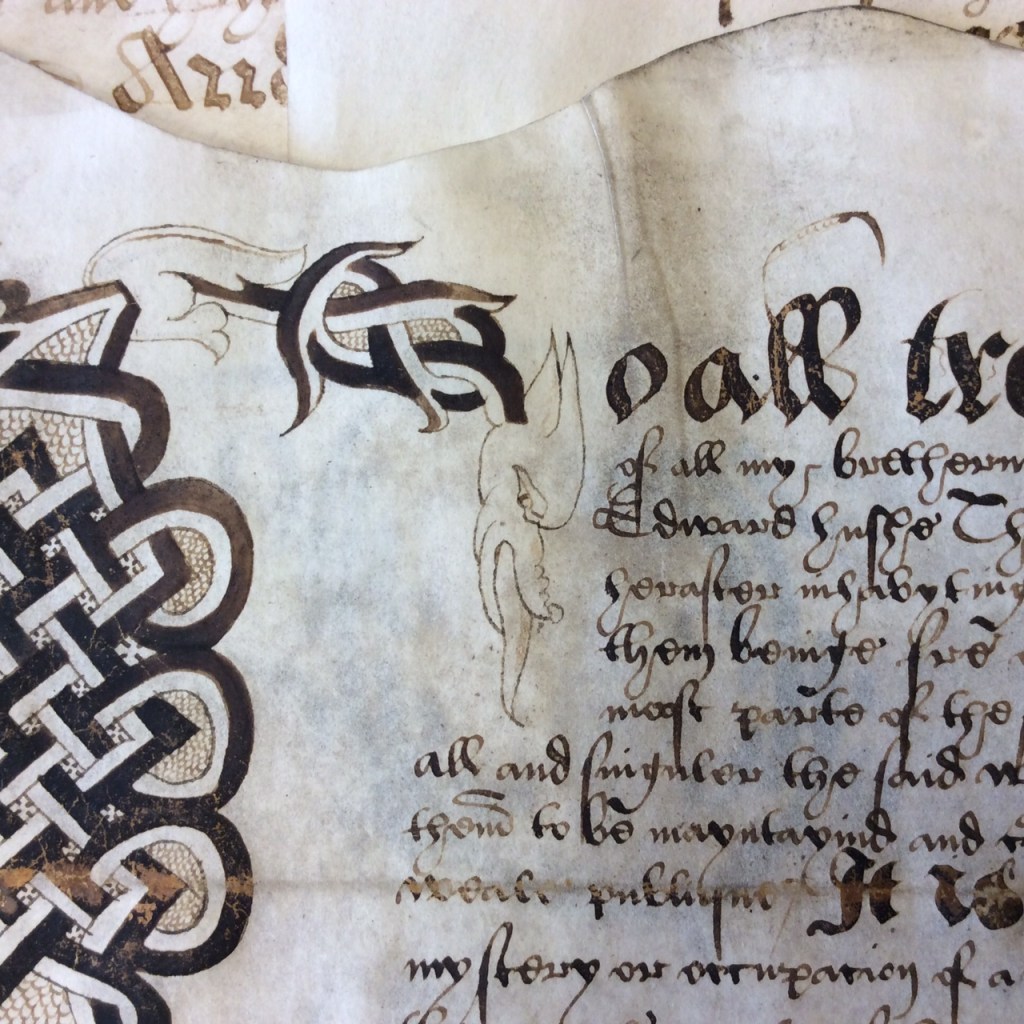 A pen and ink drawing of a dragon's face on parchment.