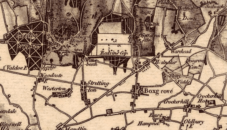 Image shows closeup of the Boxgrove area, including Halnaker and Goodwood House