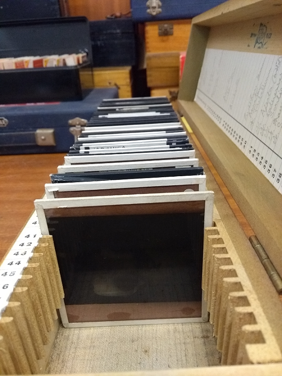 Row of glass plate negatives in a specially built wooden box.