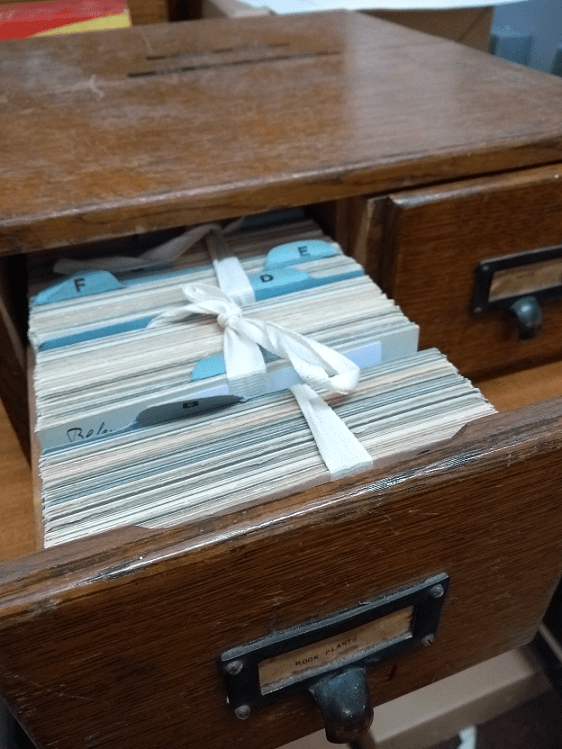 Pulled out wooden draw showing index cards arranged alphabetically and bound by white fabric tape.