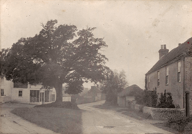A large oak tree in the middle of a triangular patch of grass surrounded by rough roadways and old buildings