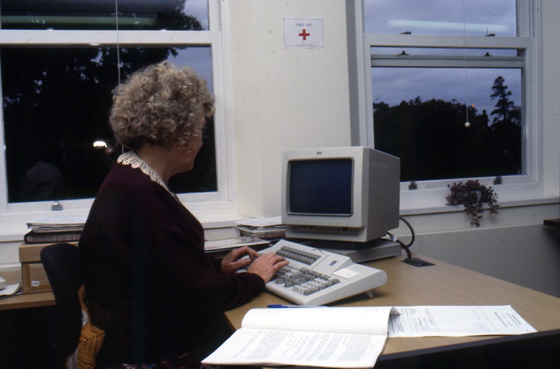 Colour photography. The clerk's back is to the camera working at the desk next to large windows.