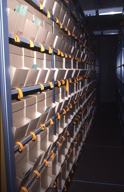 Colour photograph. The flash lights up a dark corridor.