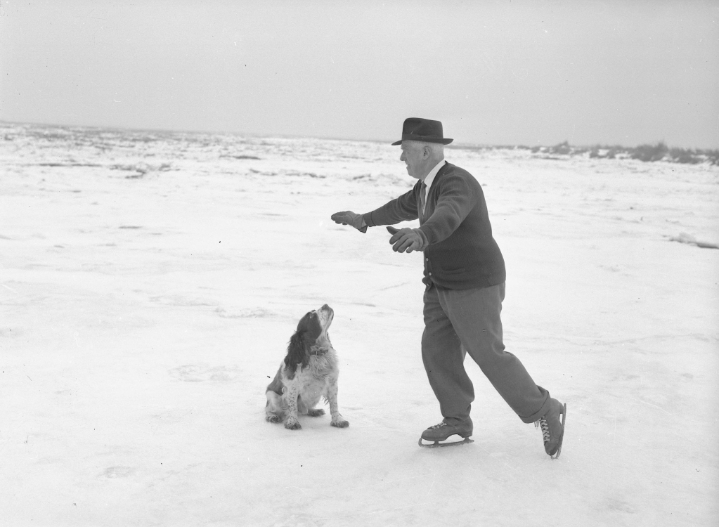 An elderly man in slacks, cardigan, hat, gloves and tie ice-skating. His dog, a springer spaniel, is sitting looking up at him.