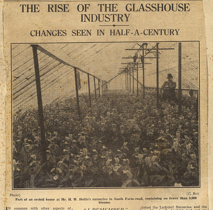 The Rise of the Glasshouse Industry - Changes Seen in Half a Century - the heading and photograph of greenhouse growing crops.